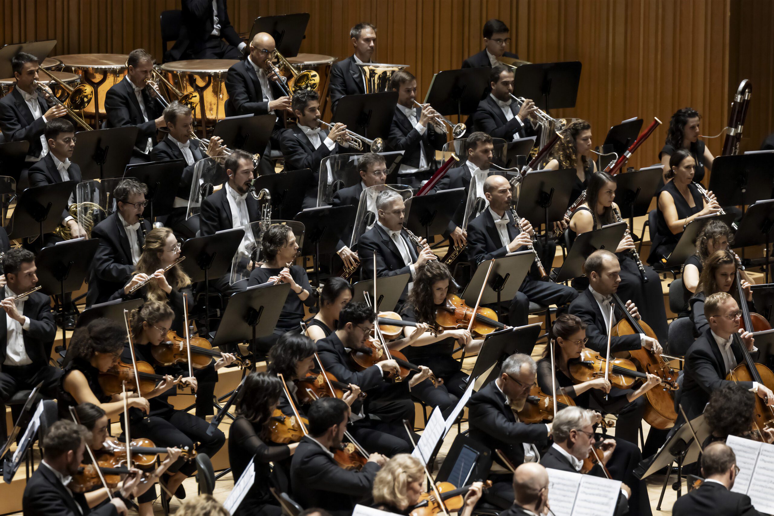 La Orquestra de la Comunitat Valenciana enseña a los más jóvenes cómo funciona una agrupación sinfónica