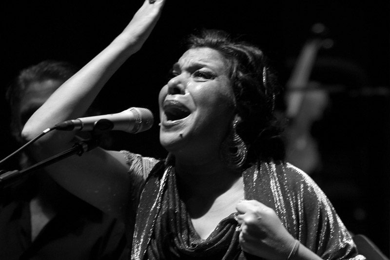 ‘La Macanita’ protagonitza la tercera sessió del cicle ‘Les Arts és Flamenco’