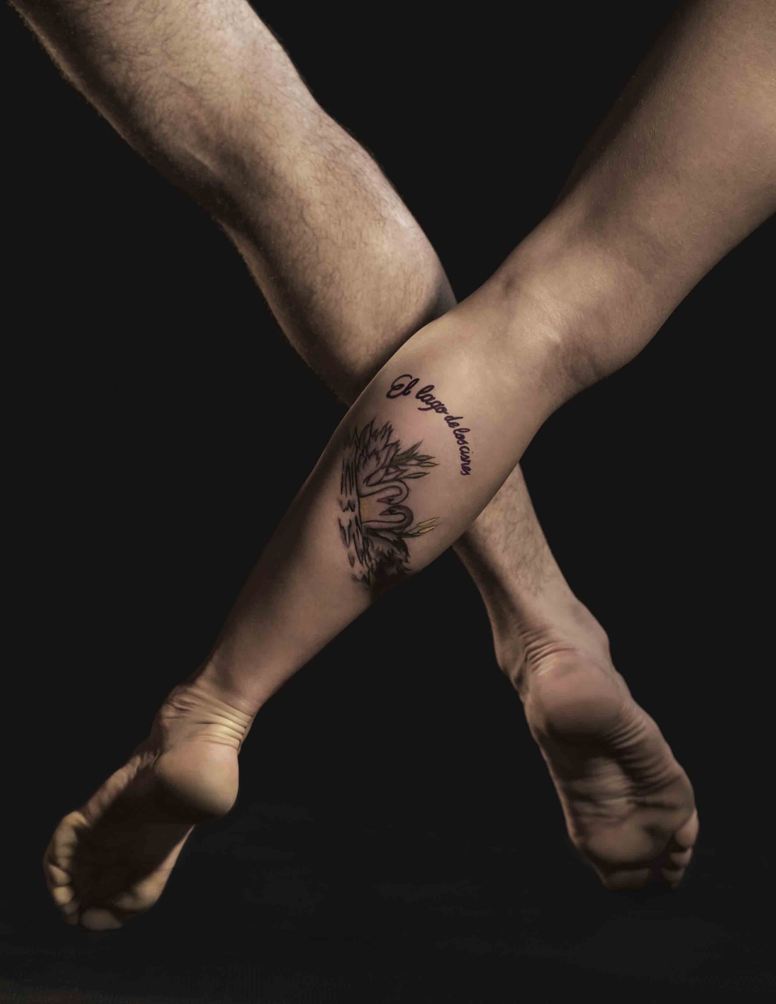 El lago de los cisnes, en València… y en el séptimo arte