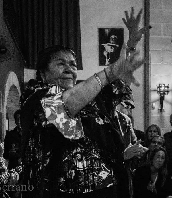 Zambomba flamenca al Teatre Martín i Soler
