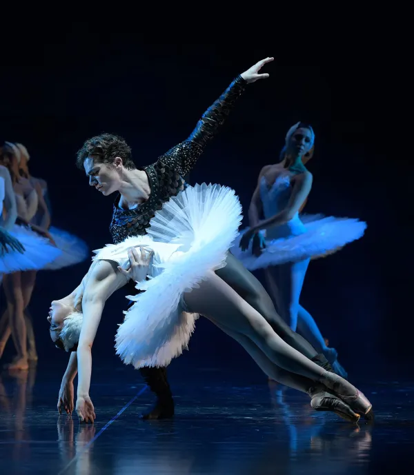 El llac dels cignes - Aalto Ballet de Essen al Palau de les Arts