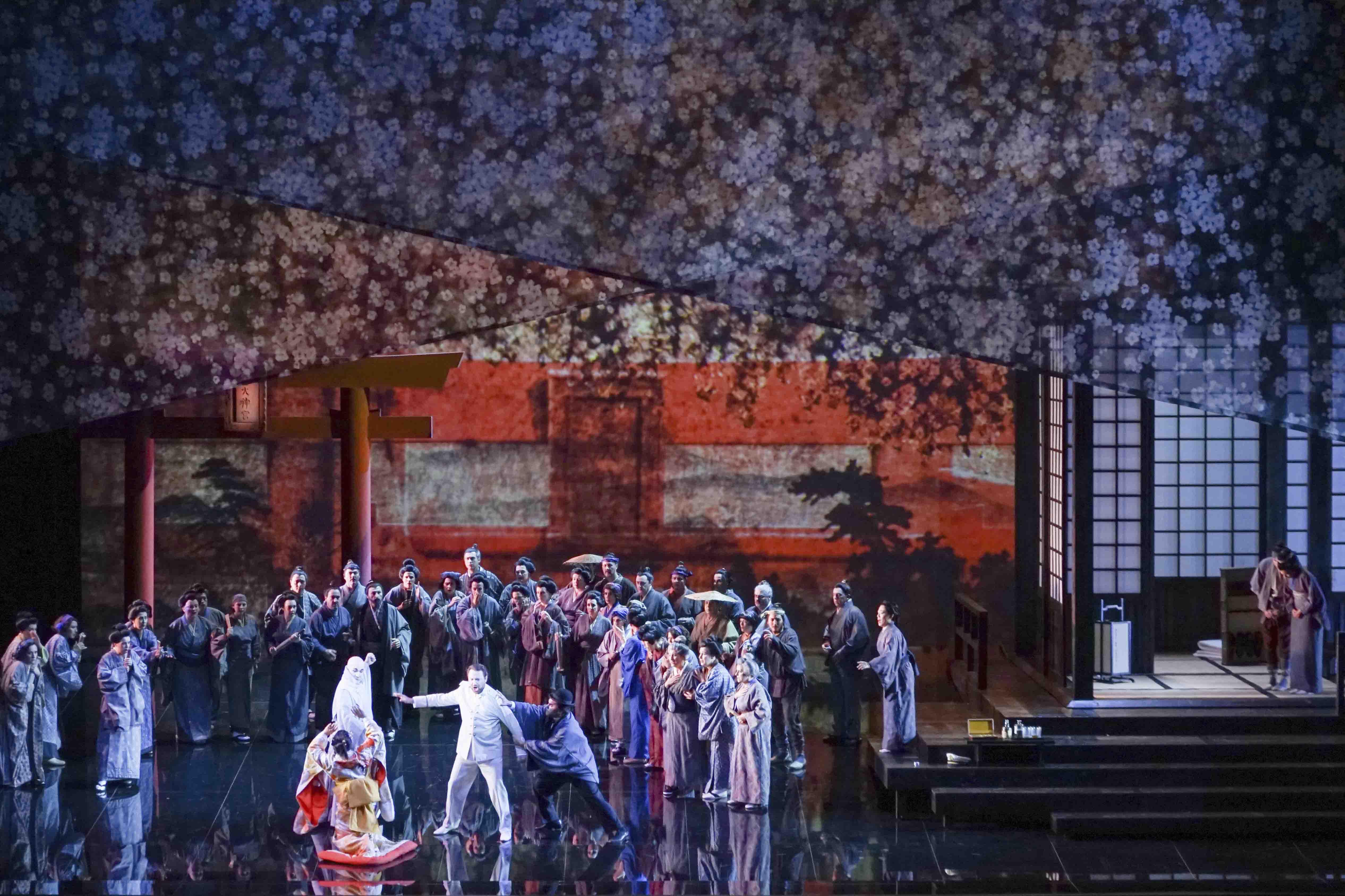 Madama Butterfly