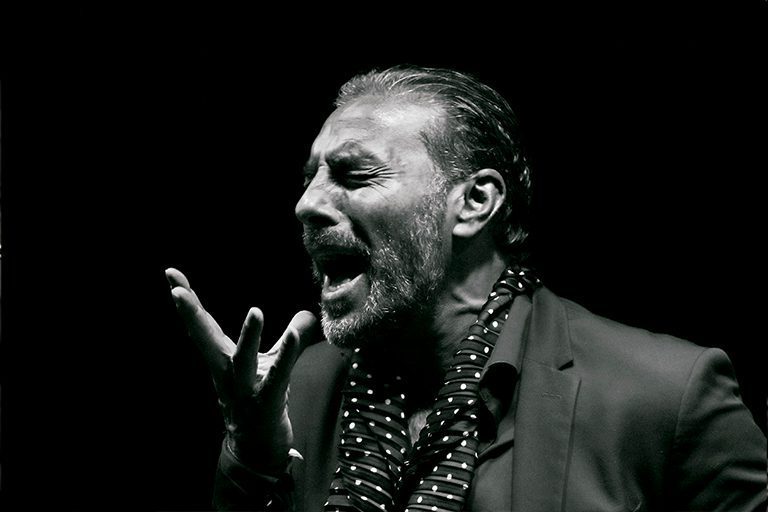 Pedro “El Granaíno” Les Arts, València Flamenco