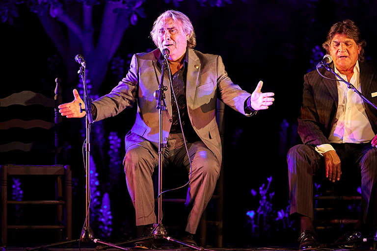 JOSÉ DE LA TOMASA Flamenco Les Arts València